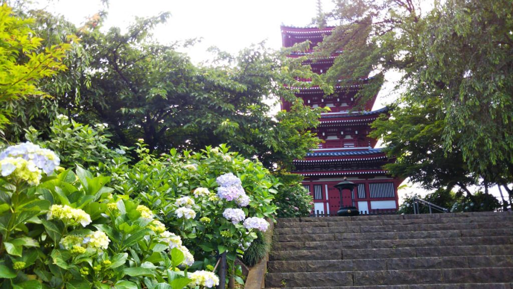 本土寺の風景