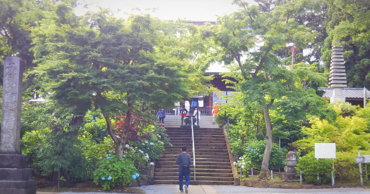 ひさしぶりの常磐線散策～松戸のあじさい寺