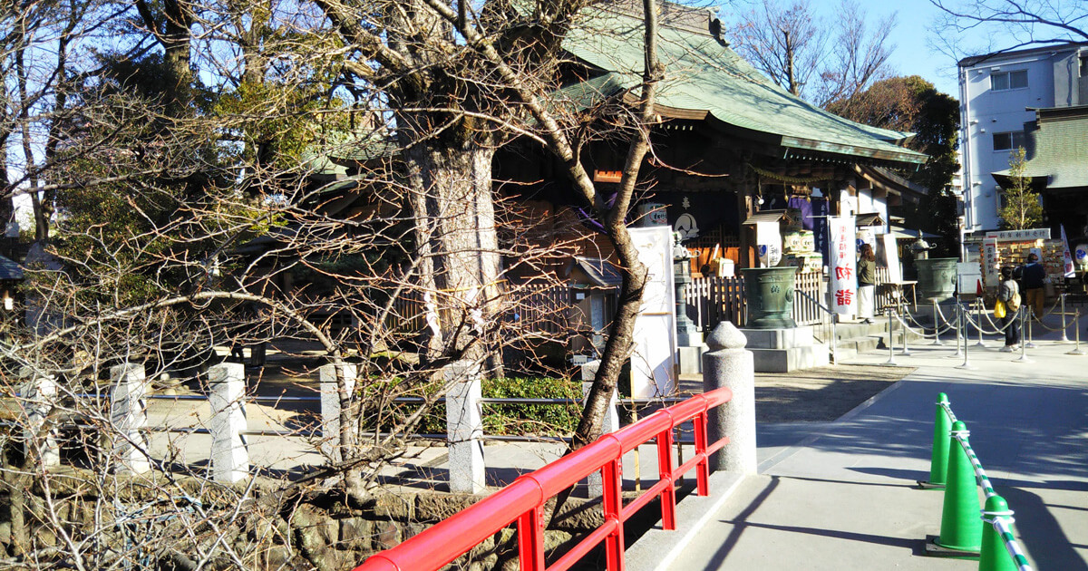 2023年初詣～松戸神社とほっこりなできごと